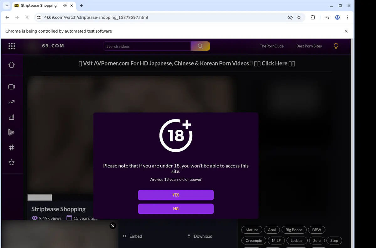 4k69 Video Downloader browser extension screenshot 2