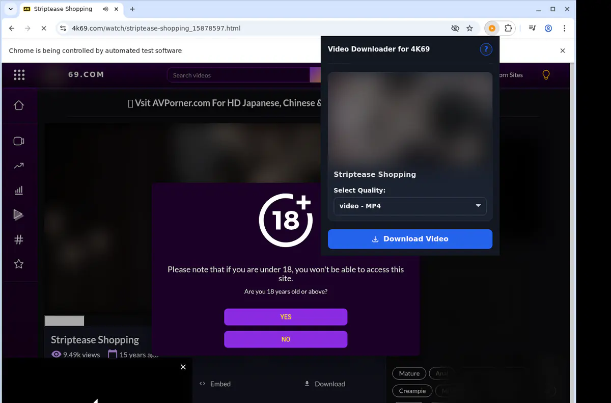 4k69 Video Downloader browser extension screenshot 3