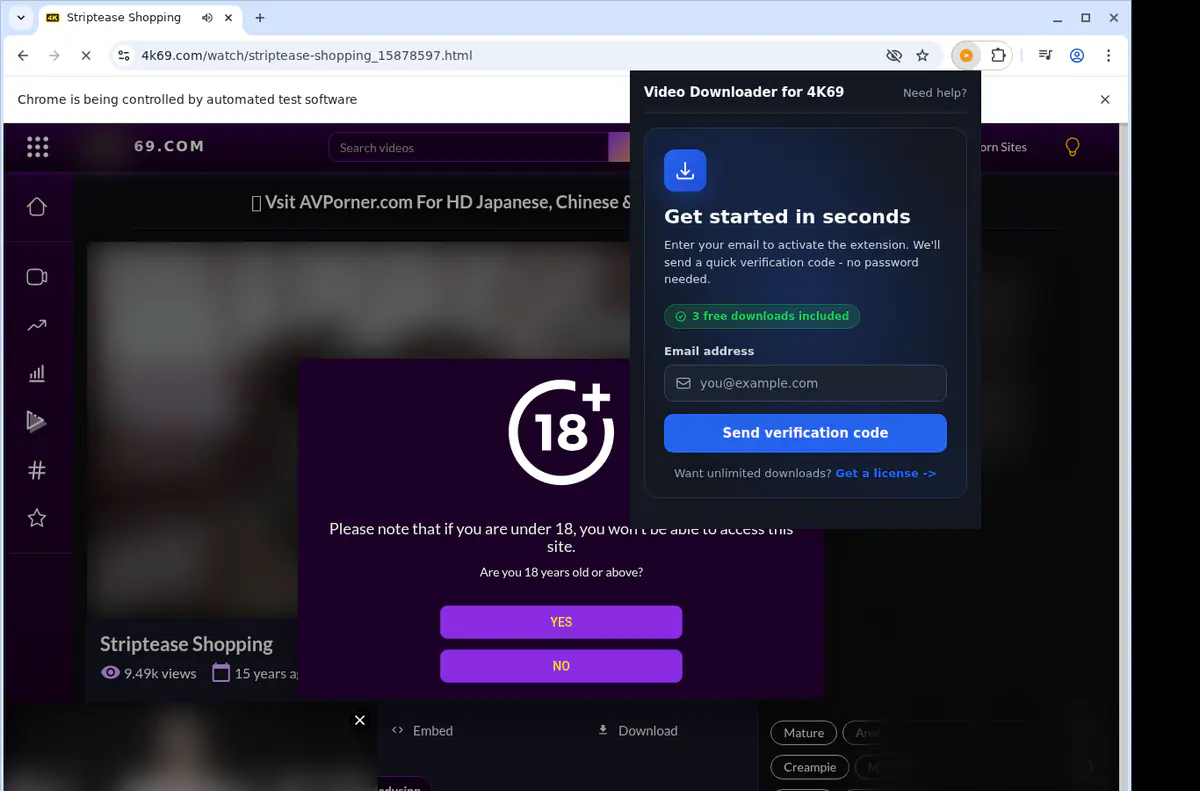 4k69 Video Downloader browser extension screenshot 5